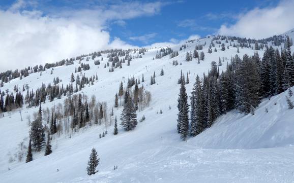 Bestes Skigebiet in der Teton Range – Testbericht Grand Targhee Bestes Skigebiet in der Teton Range – Testbericht Grand Targhee