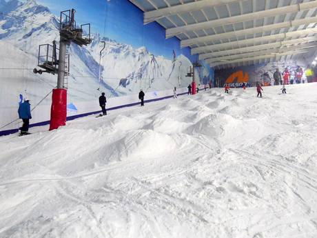 Skigebiete für Könner und Freeriding Großbritannien – Könner, Freerider The Snow Centre – Hemel Hempstead