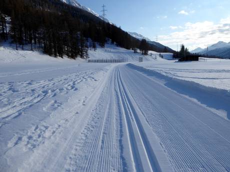 Langlauf Val Bernina – Langlauf Languard – Pontresina