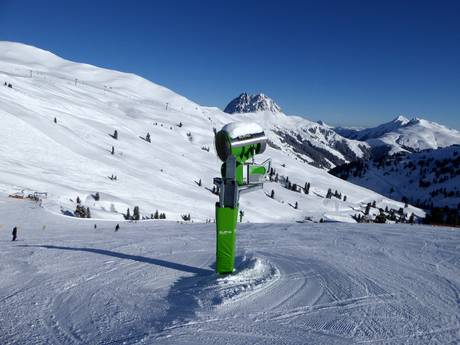 Schneesicherheit Pinzgau – Schneesicherheit Wildkogel – Neukirchen/Bramberg