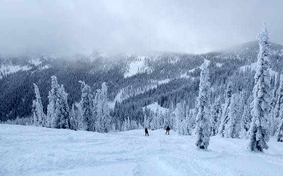 Skigebiete für Könner und Freeriding Monashee Mountains – Könner, Freerider Red Mountain Resort – Rossland