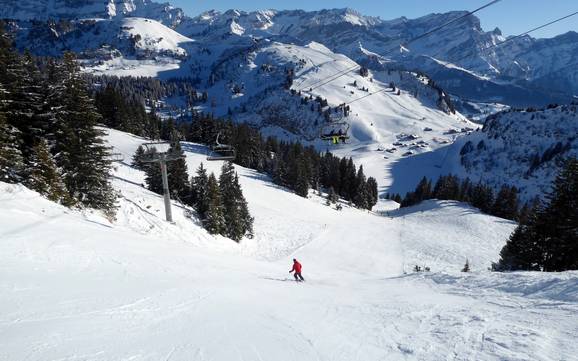 Skigebiete für Könner und Freeriding Waadt – Könner, Freerider Villars/Gryon/Les Diablerets Skigebiete für Könner und Freeriding Waadt – Könner, Freerider Villars/Gryon/Les Diablerets