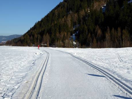 Langlauf Ortler Alpen – Langlauf Schwemmalm