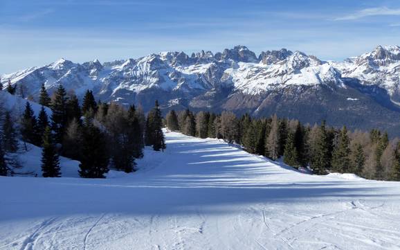 Pistenangebot Altopiano della Paganella/Dolomiti di Brenta/Lago di Molveno – Pistenangebot Paganella – Andalo