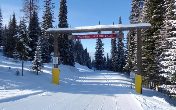 Langlauf North Okanagan – Langlauf SilverStar