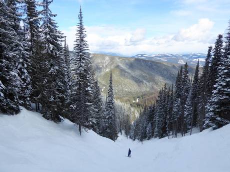 Skigebiete für Könner und Freeriding Thompson Okanagan – Könner, Freerider SilverStar