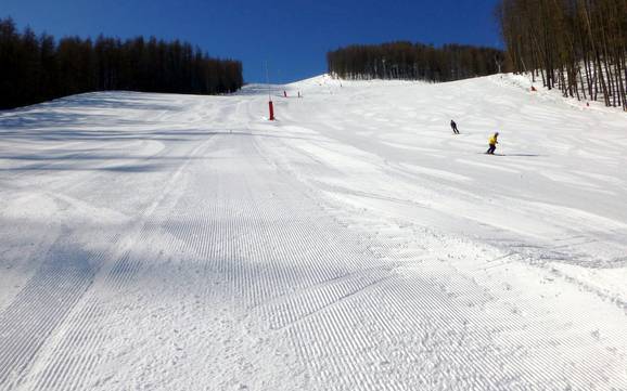 Pistenangebot Vallée de la Tinée – Pistenangebot Auron (Saint-Etienne-de-Tinée)