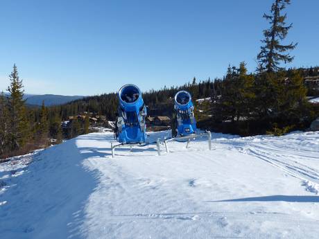 Schneesicherheit Hallingdal – Schneesicherheit Nesfjellet – Nesbyen