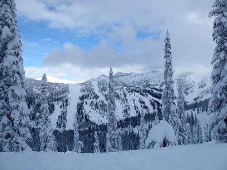 Selkirk Mountains: Testberichte von Skigebieten – Testbericht Whitewater – Nelson