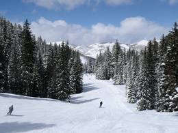 Alle Informationen zum Skigebiet Solitude Skigebiet Solitude