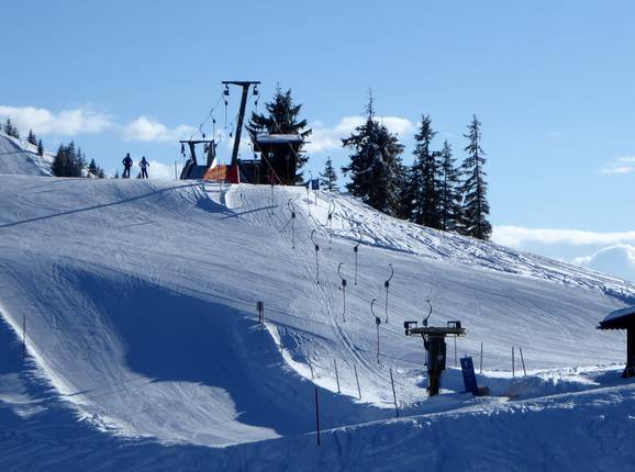 Laubkogel