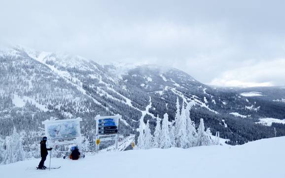 Monashee Mountains: Testberichte von Skigebieten – Testbericht Red Mountain Resort – Rossland