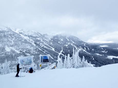 Kootenay Boundary: Testberichte von Skigebieten – Testbericht Red Mountain Resort – Rossland