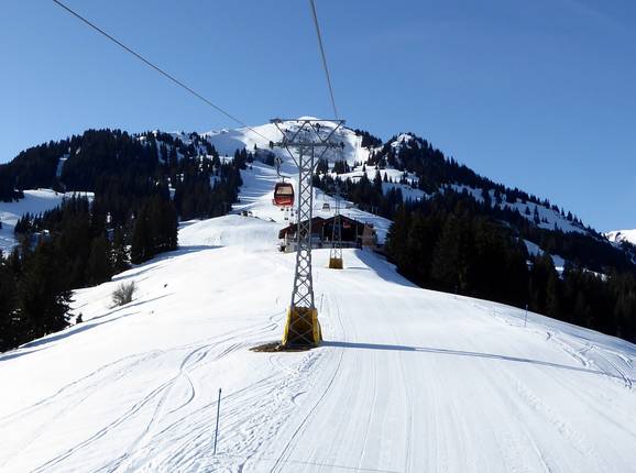 Zweisimmen-Eggweid