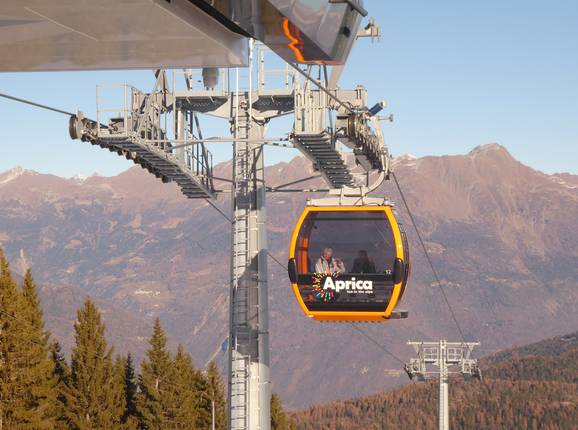 Aprica-Magnolta Aprica-Magnolta