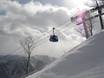 Skilifte/Seilbahnen Niigata – Lifte/Seilbahnen Naeba (Mt. Naeba)