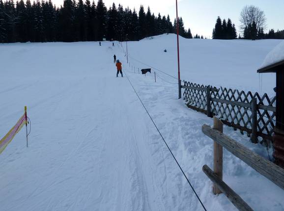 Skilift Rölzhang - Seillift/Babylift mit niederer Seilführung